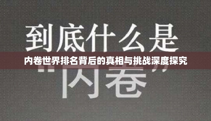 内卷世界排名背后的真相与挑战深度探究