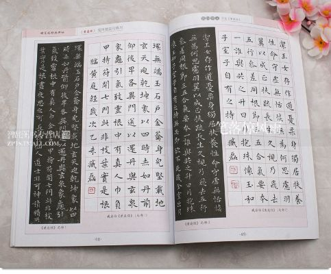 硬笔临帖 官方下载,前沿解读说明&amp;娱乐版_v2.337