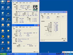 pads最新版本,权威解析说明_X版_v6.961