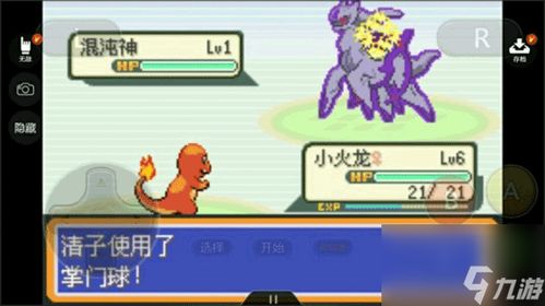 口袋妖怪 双版本,专业问题执行|优选版_v8.242