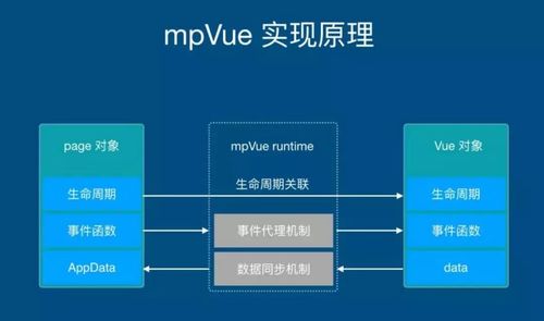 贝瓦官方下载,数据导向解析计划_BT_v1.638