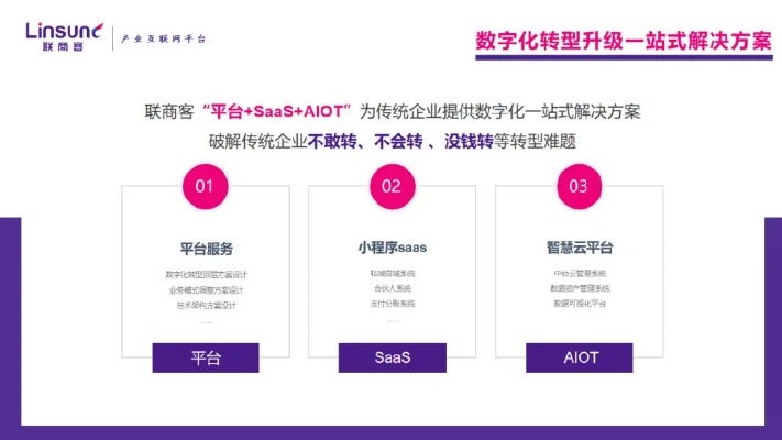 关于花小猪版本，深度应用数据策略Prime_v7.248介绍及其他软件许可证类型解析