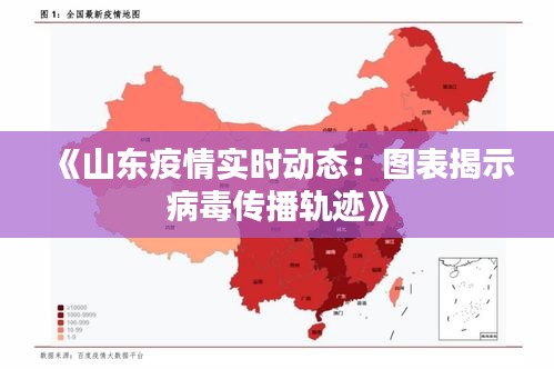 《山东疫情实时动态：图表揭示病毒传播轨迹》