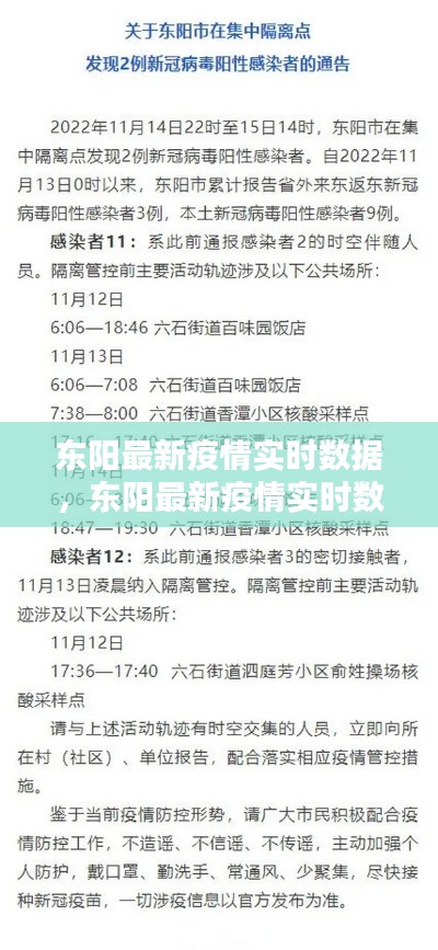 东阳最新疫情实时数据，东阳最新疫情实时数据报告 