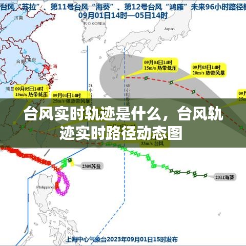 台风实时轨迹是什么，台风轨迹实时路径动态图 