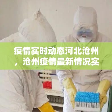 疫情实时动态河北沧州，沧州疫情最新情况实时动态 