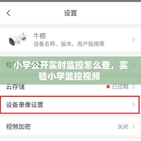 小学公开实时监控怎么查，实验小学监控视频 