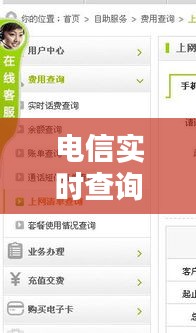 电信实时查询系统，电信网查询 