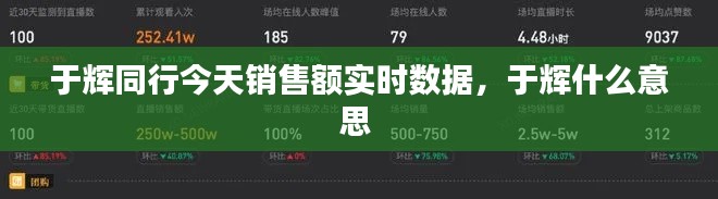 于辉同行今天销售额实时数据，于辉什么意思 