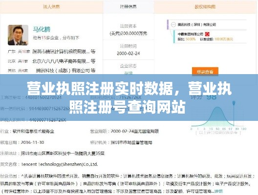 营业执照注册实时数据，营业执照注册号查询网站 