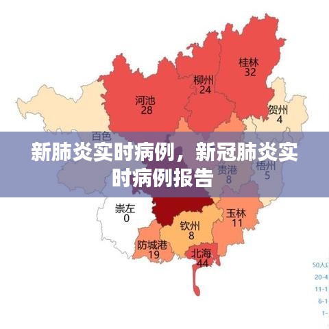 新肺炎实时病例，新冠肺炎实时病例报告 