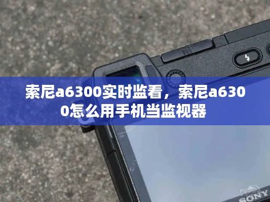 索尼a6300实时监看，索尼a6300怎么用手机当监视器 