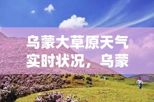 乌蒙大草原天气实时状况，乌蒙大草原未来一周天气 