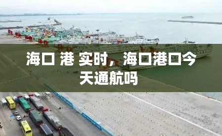 海口 港 实时，海口港口今天通航吗 