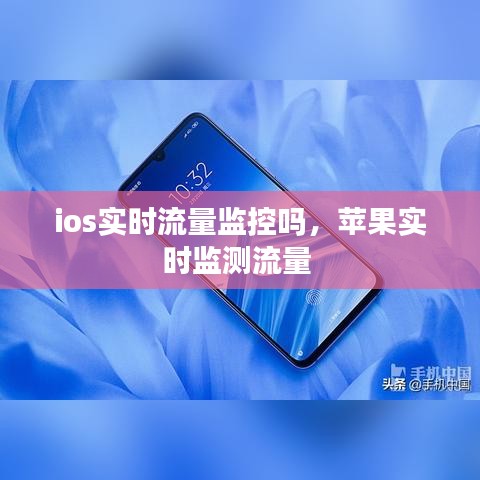 ios实时流量监控吗，苹果实时监测流量 