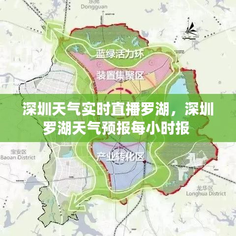 深圳天气实时直播罗湖，深圳罗湖天气预报每小时报 