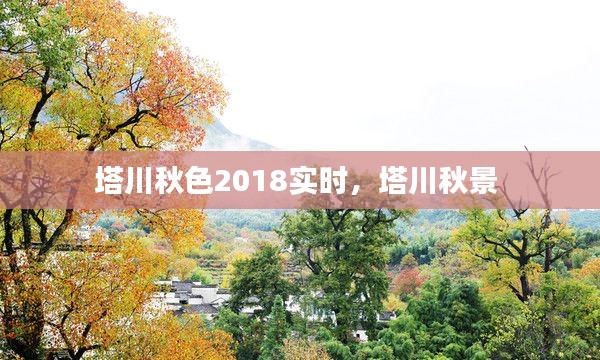 塔川秋色2018实时，塔川秋景 