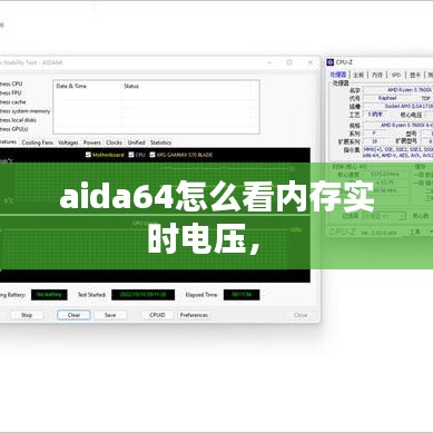 aida64怎么看内存实时电压， 