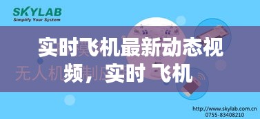 2024年12月20日 第6页