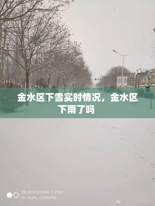 金水区下雪实时情况，金水区下雨了吗 