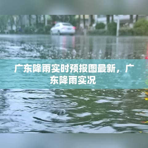 广东降雨实时预报图最新，广东降雨实况 