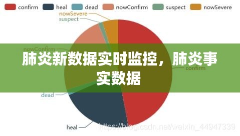 肺炎新数据实时监控，肺炎事实数据 