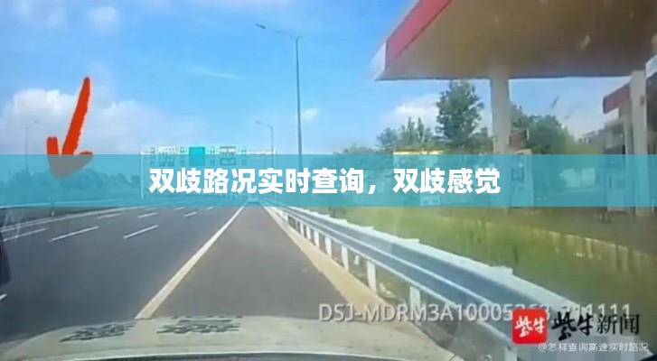 双歧路况实时查询，双歧感觉 