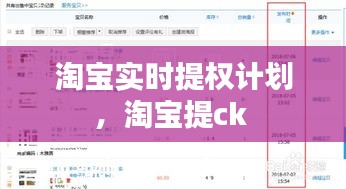 淘宝实时提权计划，淘宝提ck 