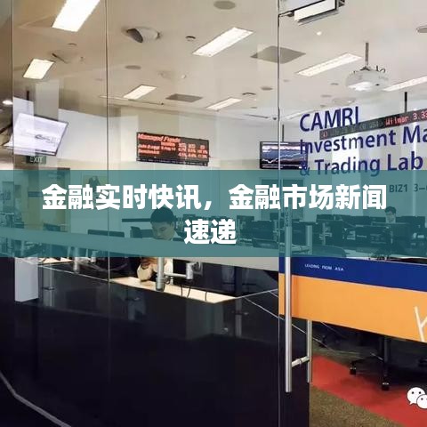 金融实时快讯，金融市场新闻速递 