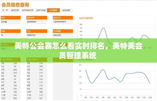 美特公会赛怎么看实时排名，美特美会员管理系统 