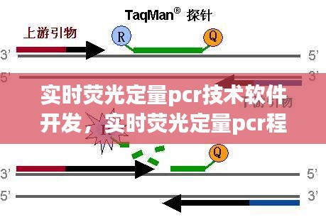 实时荧光定量pcr技术软件开发，实时荧光定量pcr程序设置 