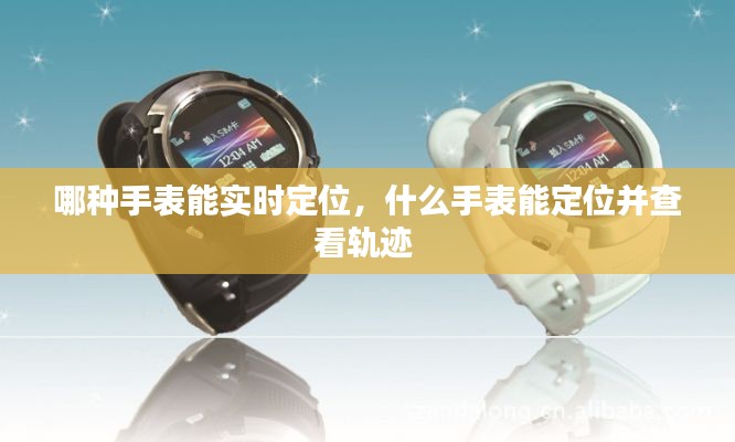 哪种手表能实时定位，什么手表能定位并查看轨迹 