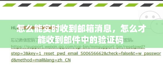 怎么能实时收到邮箱消息，怎么才能收到邮件中的验证码 