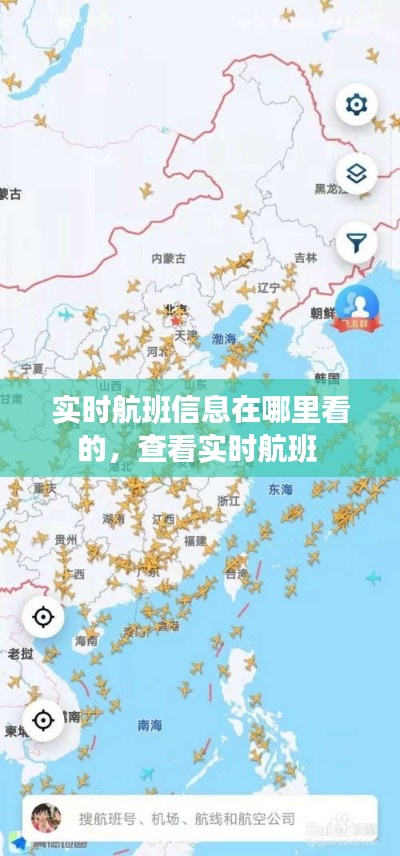 实时航班信息在哪里看的，查看实时航班 