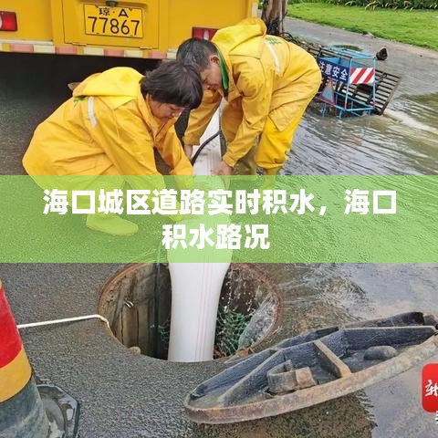 海口城区道路实时积水，海口积水路况 