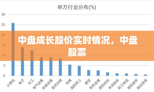 中盘成长股价实时情况，中盘 股票 