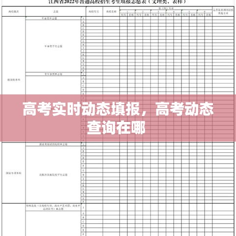 高考实时动态填报，高考动态查询在哪 