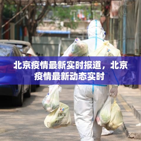 北京疫情最新实时报道，北京疫情最新动态实时 