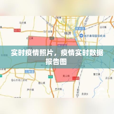 实时疫情照片，疫情实时数据报告图 