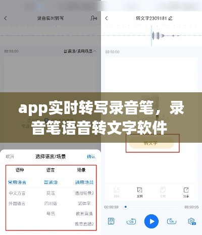 app实时转写录音笔，录音笔语音转文字软件 