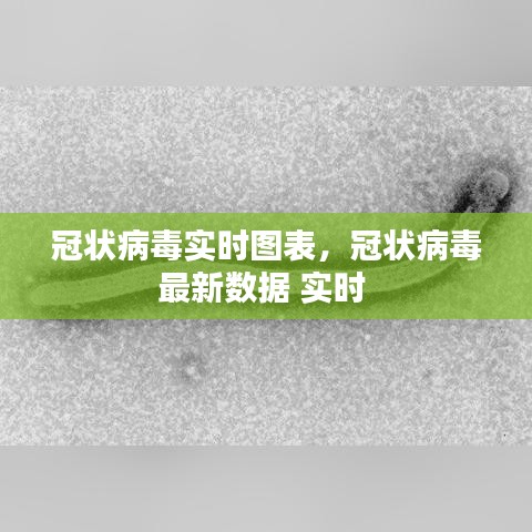 冠状病毒实时图表，冠状病毒最新数据 实时 