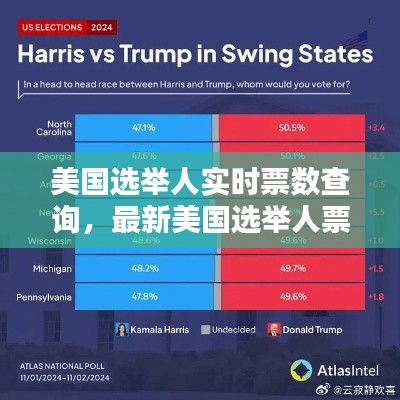 美国选举人实时票数查询，最新美国选举人票 