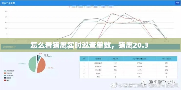 怎么看猎鹰实时巡查单数，猎鹰20.3 