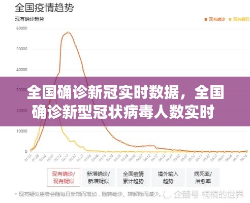 全国确诊新冠实时数据，全国确诊新型冠状病毒人数实时 