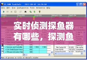 实时侦测探鱼器有哪些，探测鱼软件 