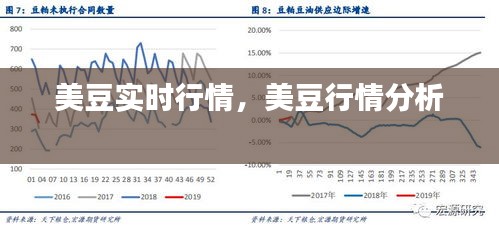 美豆实时行情，美豆行情分析 