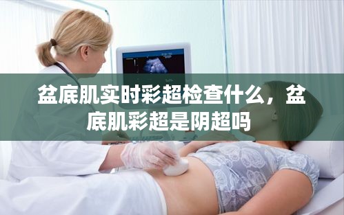 盆底肌实时彩超检查什么，盆底肌彩超是阴超吗 