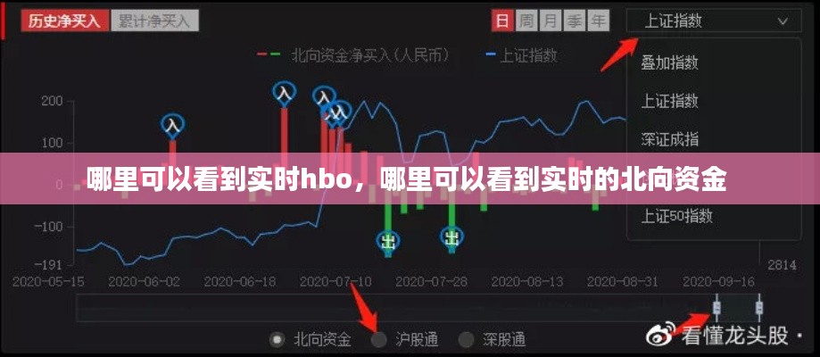 哪里可以看到实时hbo，哪里可以看到实时的北向资金 