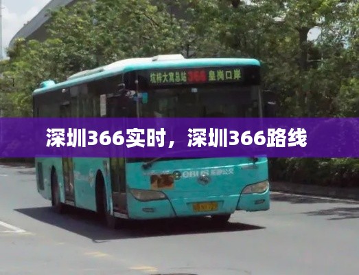 深圳366实时，深圳366路线 