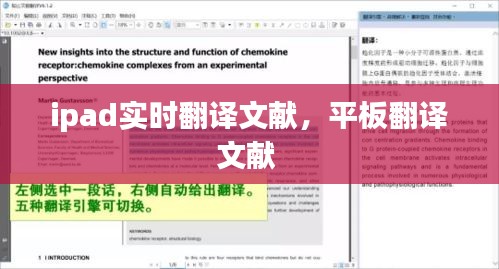 ipad实时翻译文献，平板翻译文献 